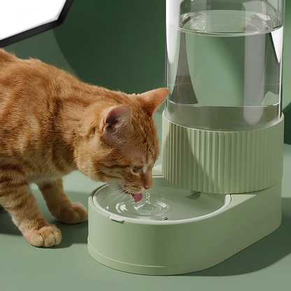Purrspring