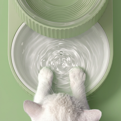 Purrspring