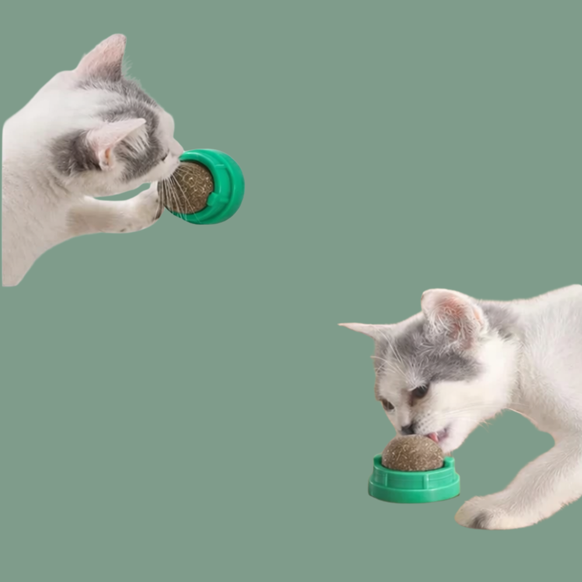 PURRHERB TriScent Ball